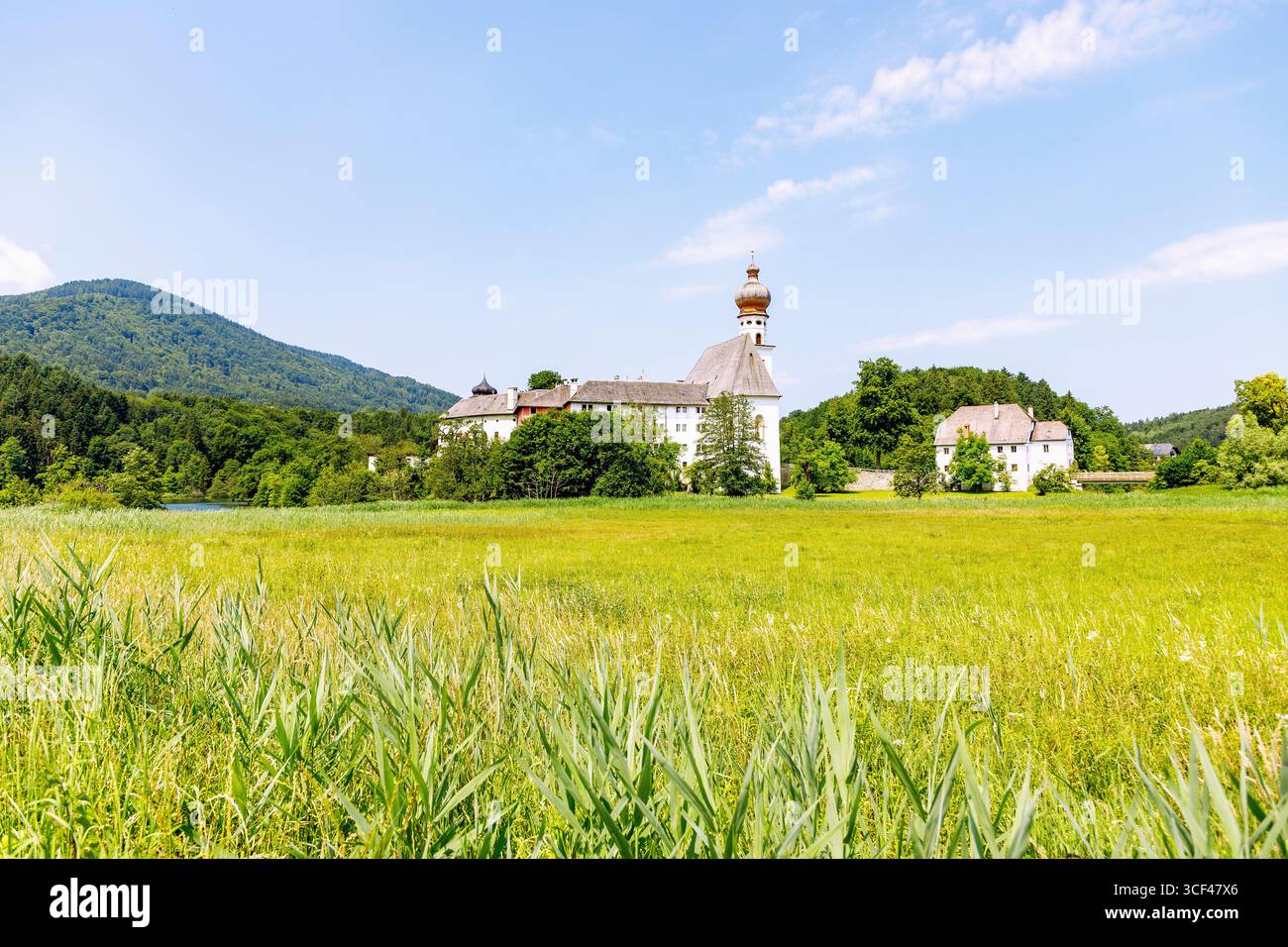 Monastère de Höglwörth avec la collégiale des membres Pierre et Paul et le lac de Höglwörth, Höglwörth, Berchtesgadener Land, haute-Bavière, Bavière, Allemagne Banque D'Images