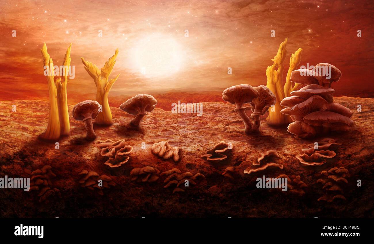 Une planète extraterrestre avec des champignons, un paysage rocheux, un soleil géant, des étoiles Banque D'Images
