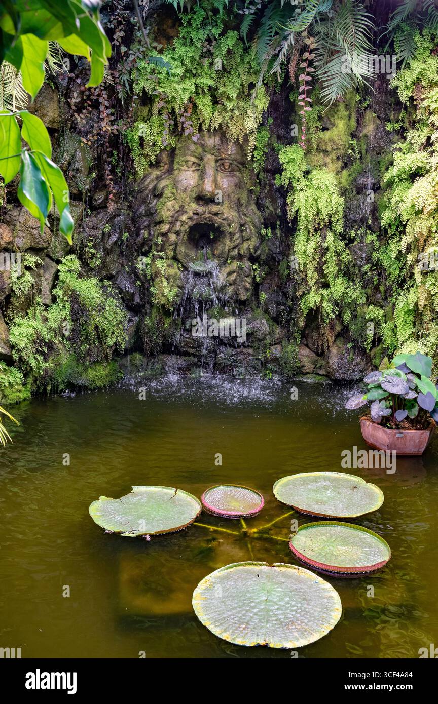 Italie Golfe de Naples Île phlégréenne mer Tyrrhénienne Campanie Ischia Forio Parc de la Mortella à Forio-San Francesco Giardini della Mortella Banque D'Images