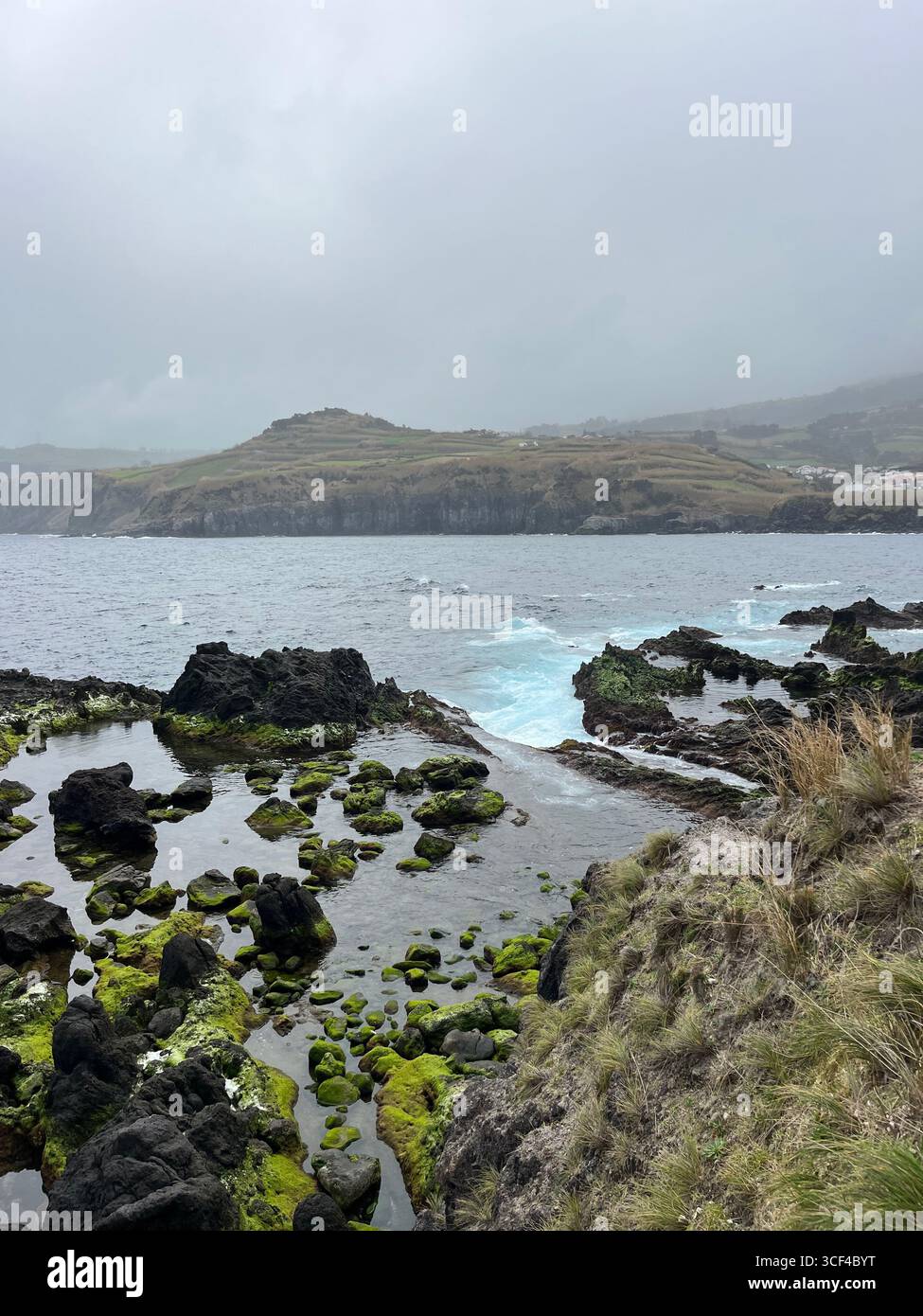 Marée basse le long de la côte volcanique des Açores, Portugal, avec des roches couvertes d'algues vertes et des vagues de l'Atlantique. - Image de stock capturée avec un smartphone