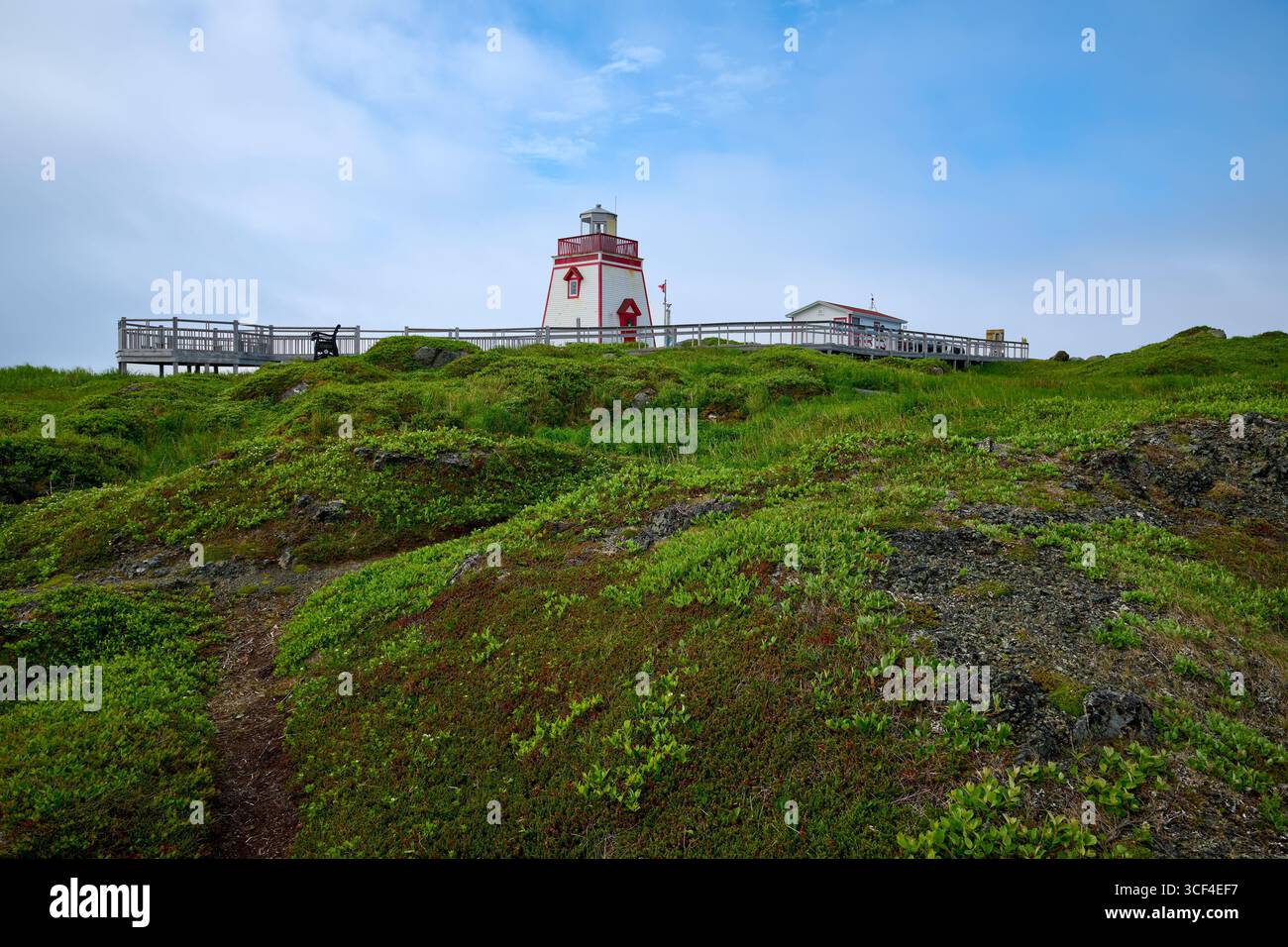 Phare de Fox point à un Anthony, Terre-Neuve. Banque D'Images