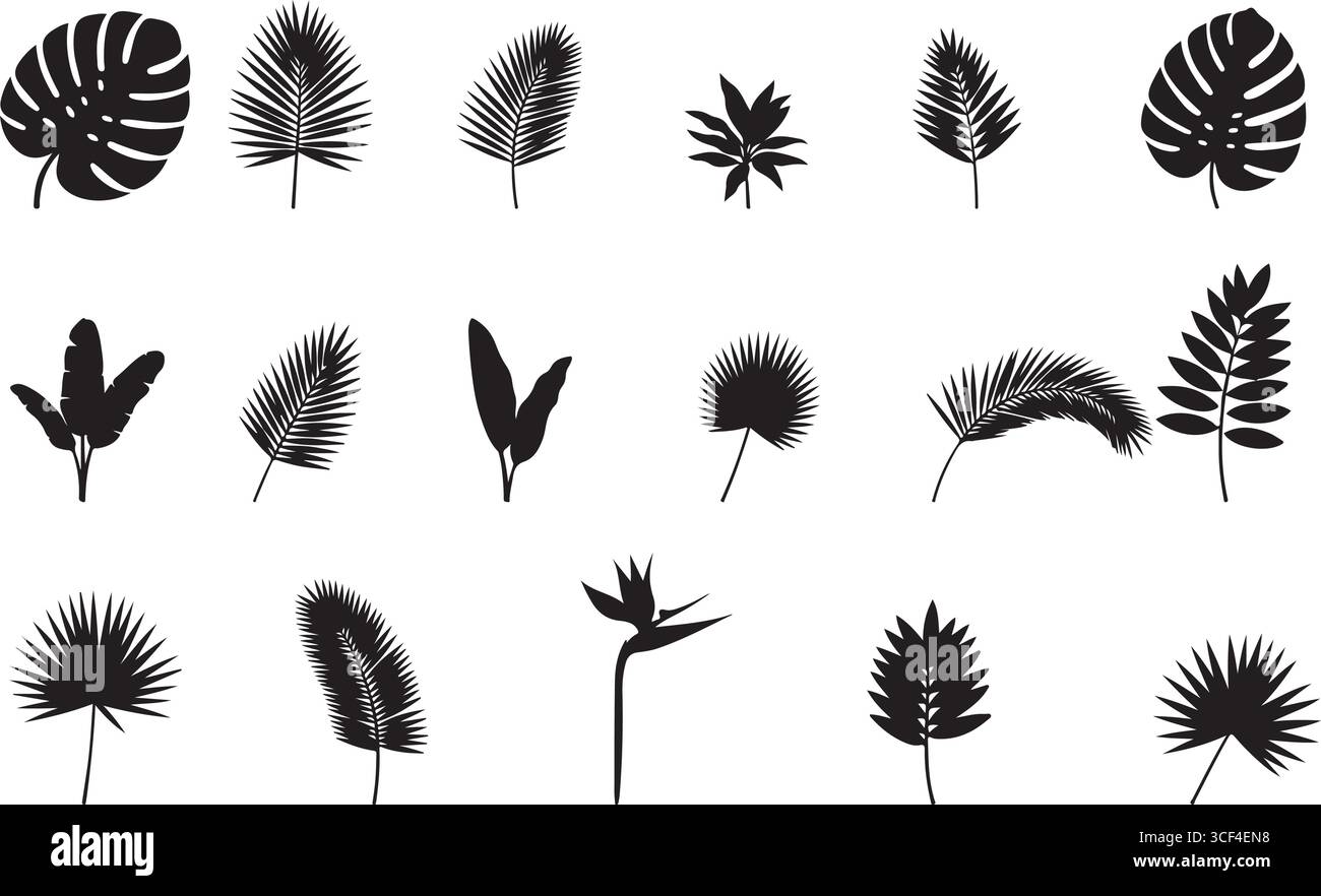 Collection de feuilles tropicales silhouettées et d'éléments végétaux exotiques sur fond blanc pour le design et la décoration Illustration de Vecteur