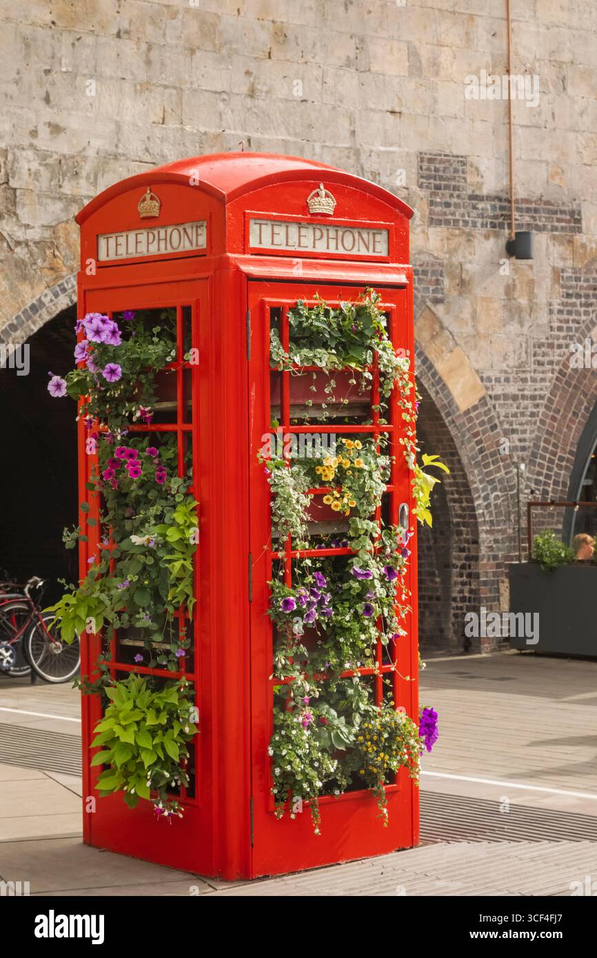 Angleterre, Somerset, Bath, dis-utilisé boîte téléphonique rouge traditionnelle convertie en affichage de fleurs colorées Banque D'Images