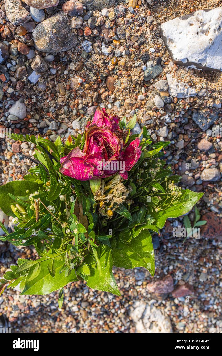 Bouquet sur la plage, fleurs funéraires, sépulture en mer, Schönhagen, Schleswig-Holstein, Allemagne, souvenir, symbole de deuil Banque D'Images