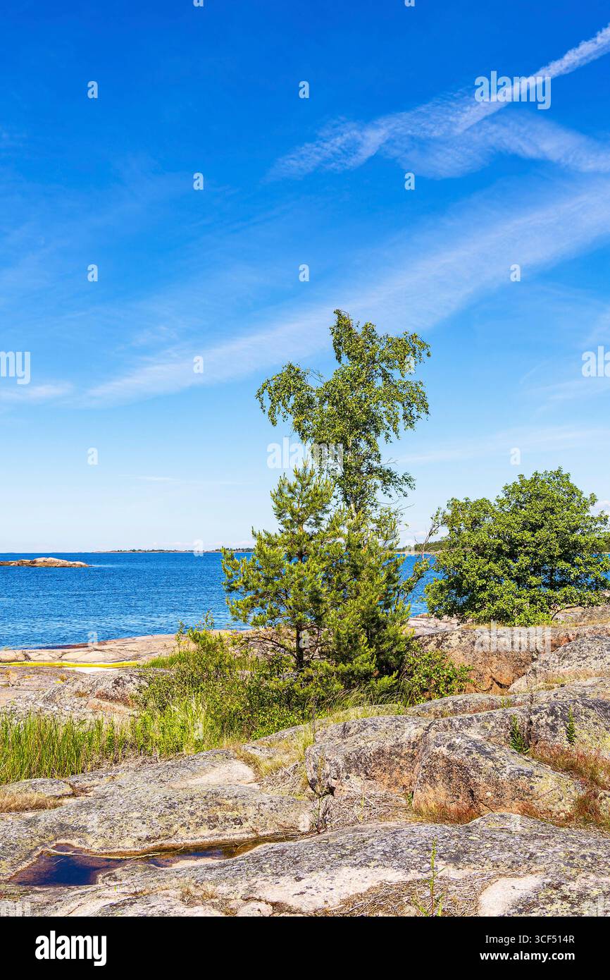 Côte de la mer Baltique avec des rochers et des arbres sur l'île de Sladö en Suède. Banque D'Images