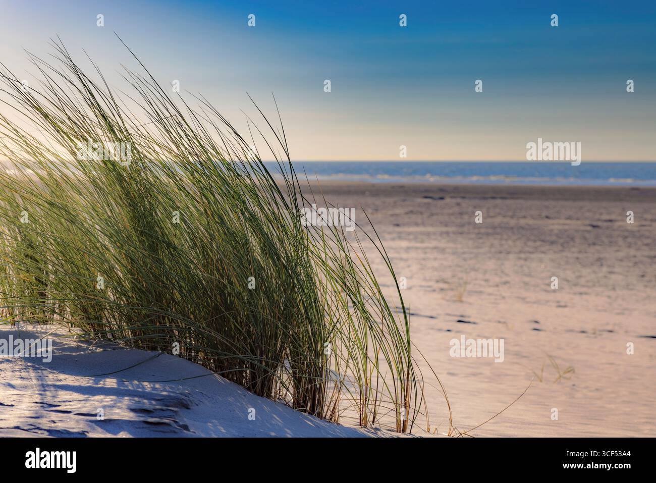 Soleil faible dans l'après-midi sur la plage de Juist, îles de Frise orientale, Allemagne. Banque D'Images