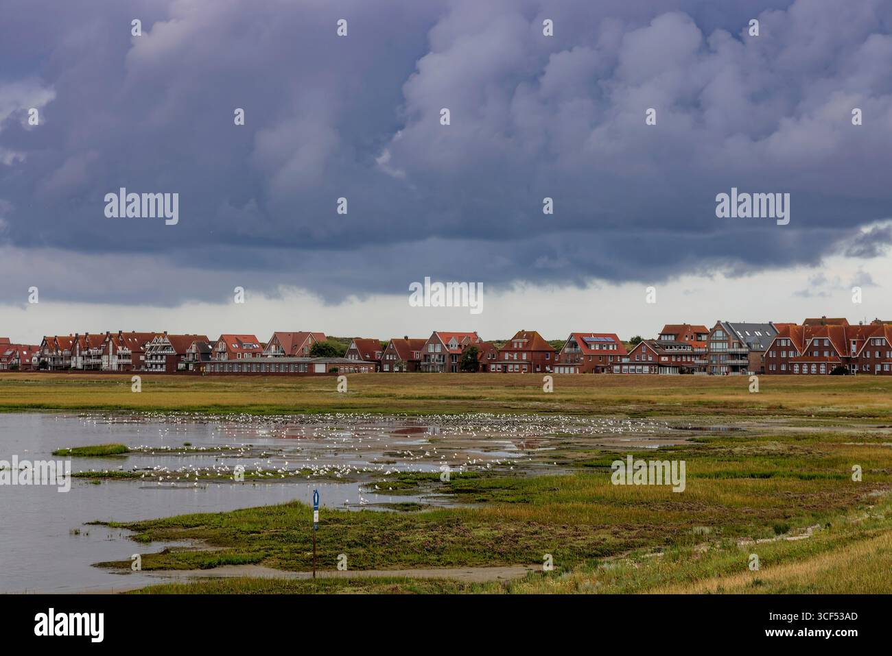 Vue sur la mer des Wadden et les marais salants à l'île de Juist, îles de Frise orientale, Allemagne. Banque D'Images
