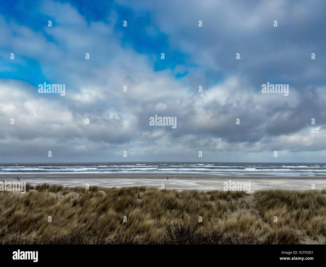 Plage sur Juist, îles de la Frise orientale, Allemagne. Banque D'Images