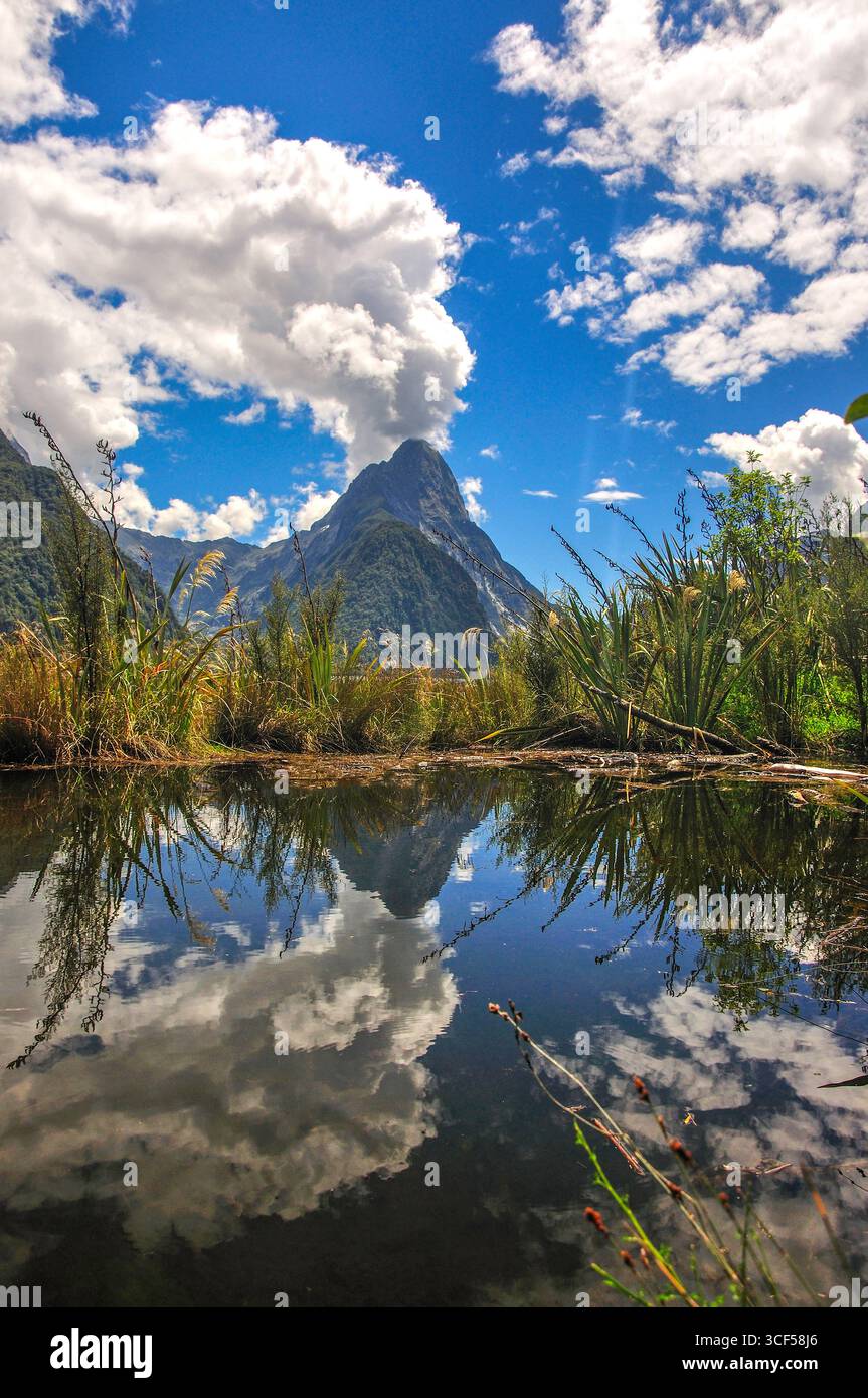 Mitre Peak, Milford Sound, Fiordland National Park, Southland, île du Sud, Nouvelle-Zélande Banque D'Images