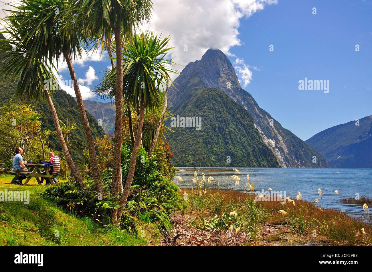 Mitre Peak, Milford Sound, Fiordland National Park, région de Southland, île du Sud, Nouvelle-Zélande Banque D'Images