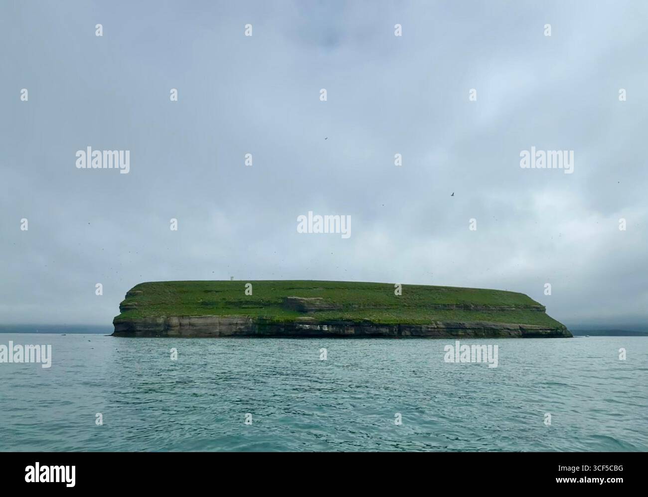 Lundey Island, alias Puffin Island, dans la baie de Skjalfandi, au nord-est de l'Islande. Banque D'Images