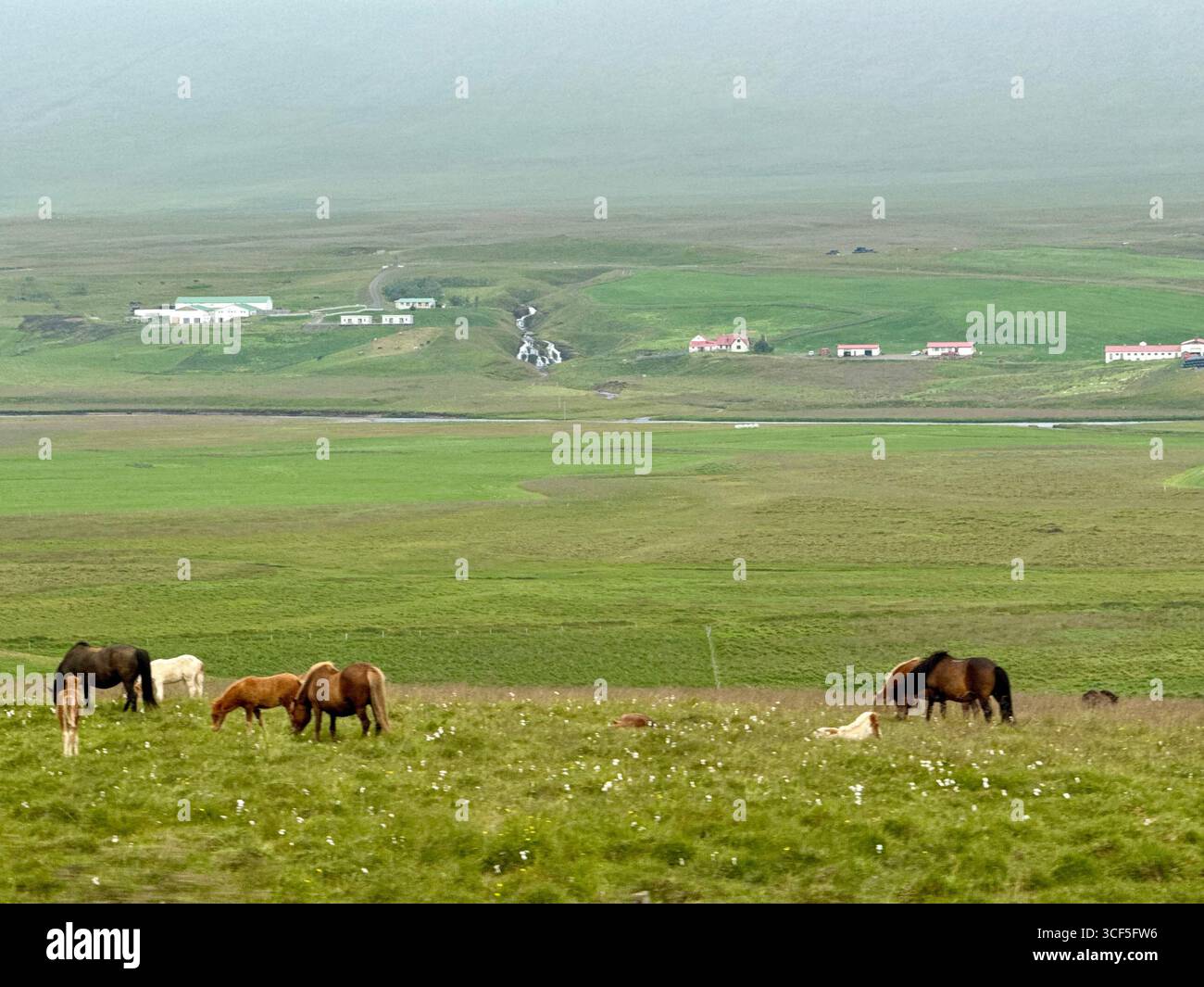Paysage de l'ouest de l'Islande - Image de stock capturée avec un smartphone