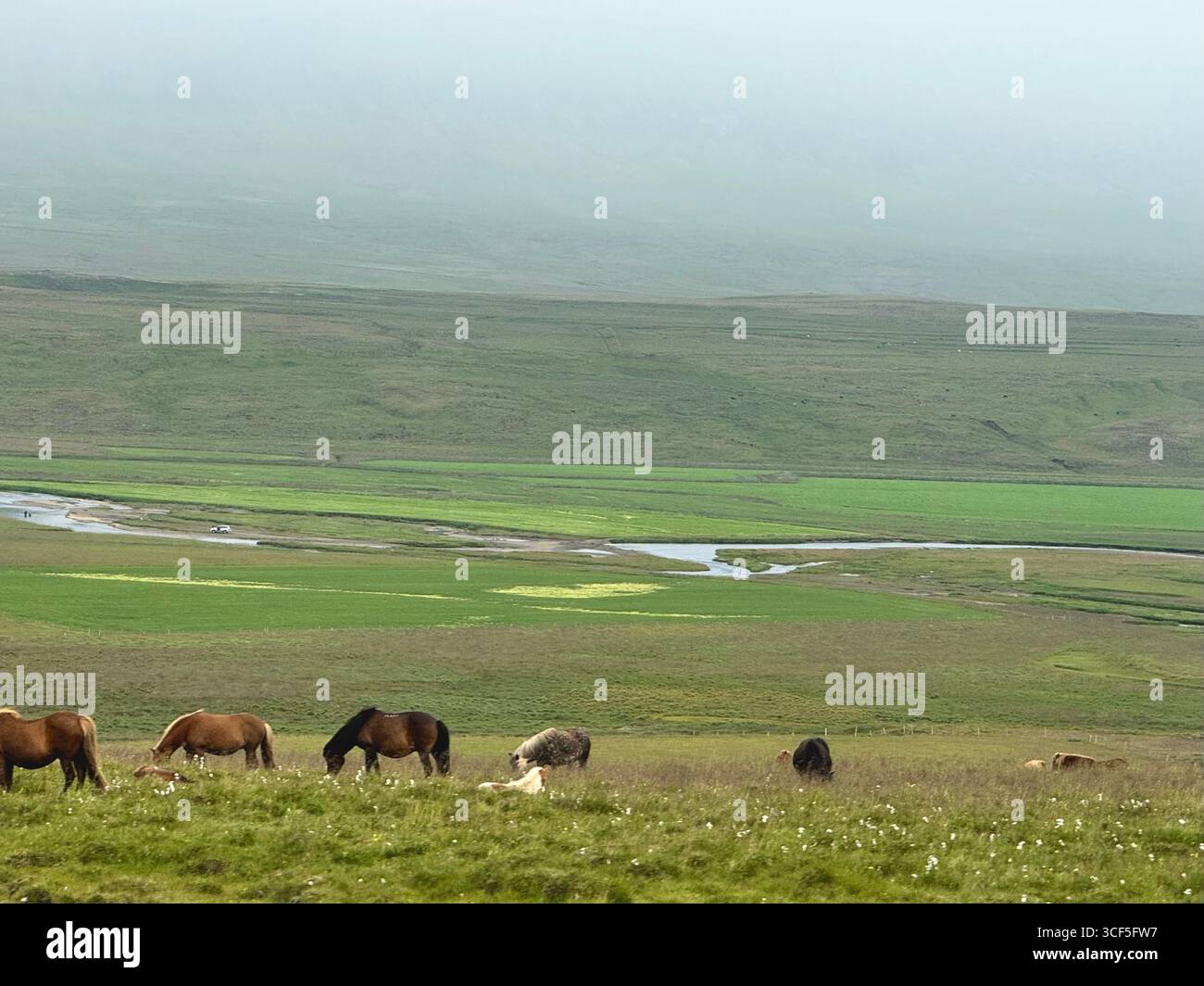 Paysage de l'ouest de l'Islande - Image de stock capturée avec un smartphone
