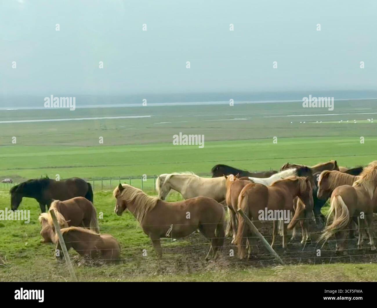 Paysage de l'ouest de l'Islande - Image de stock capturée avec un smartphone