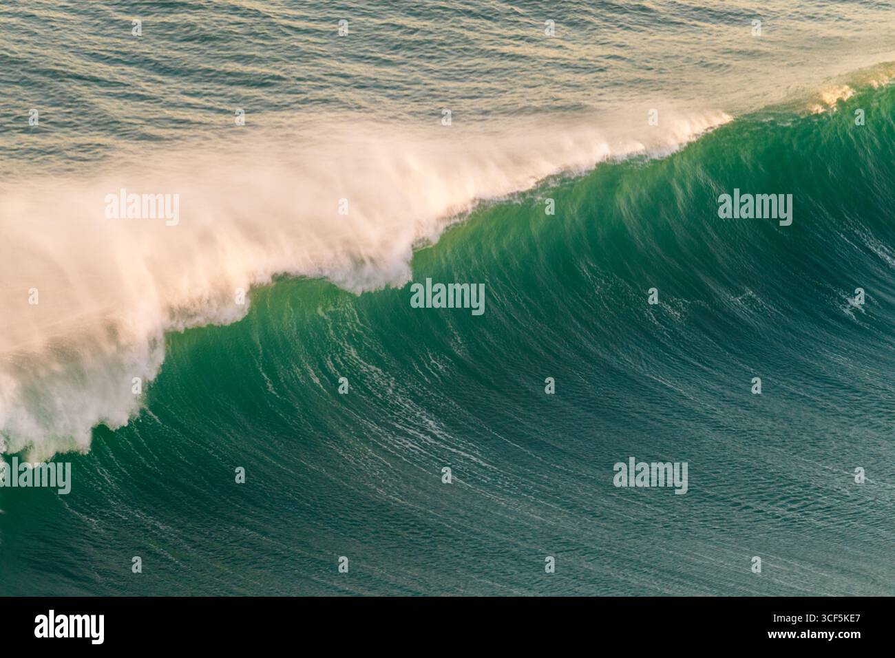 Hautes vagues illuminées par une lueur dorée au lever du soleil, formant des lignes courbes spectaculaires. Banque D'Images