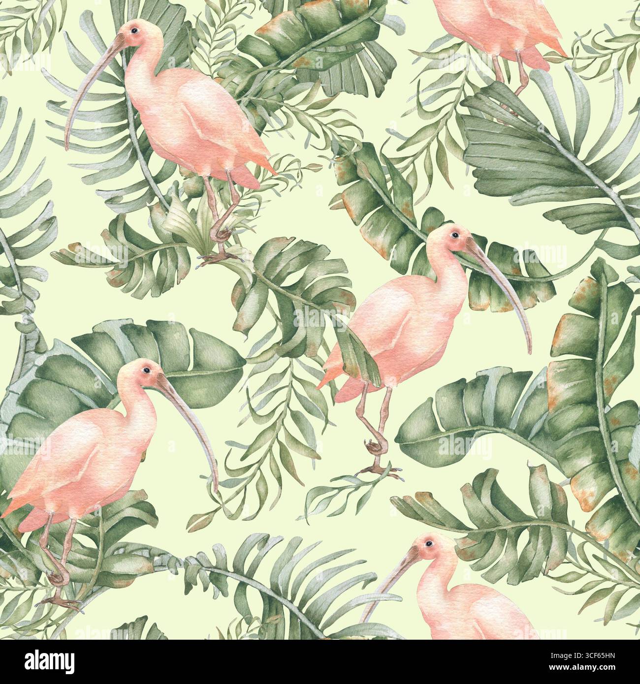 Tropical Paradise impression sans couture isolé sur blanc. Rose aquarelle ibis en feuilles de bananier et palmiers tropicaux en vert doux dessinés à la main. Oiseau exotique Banque D'Images