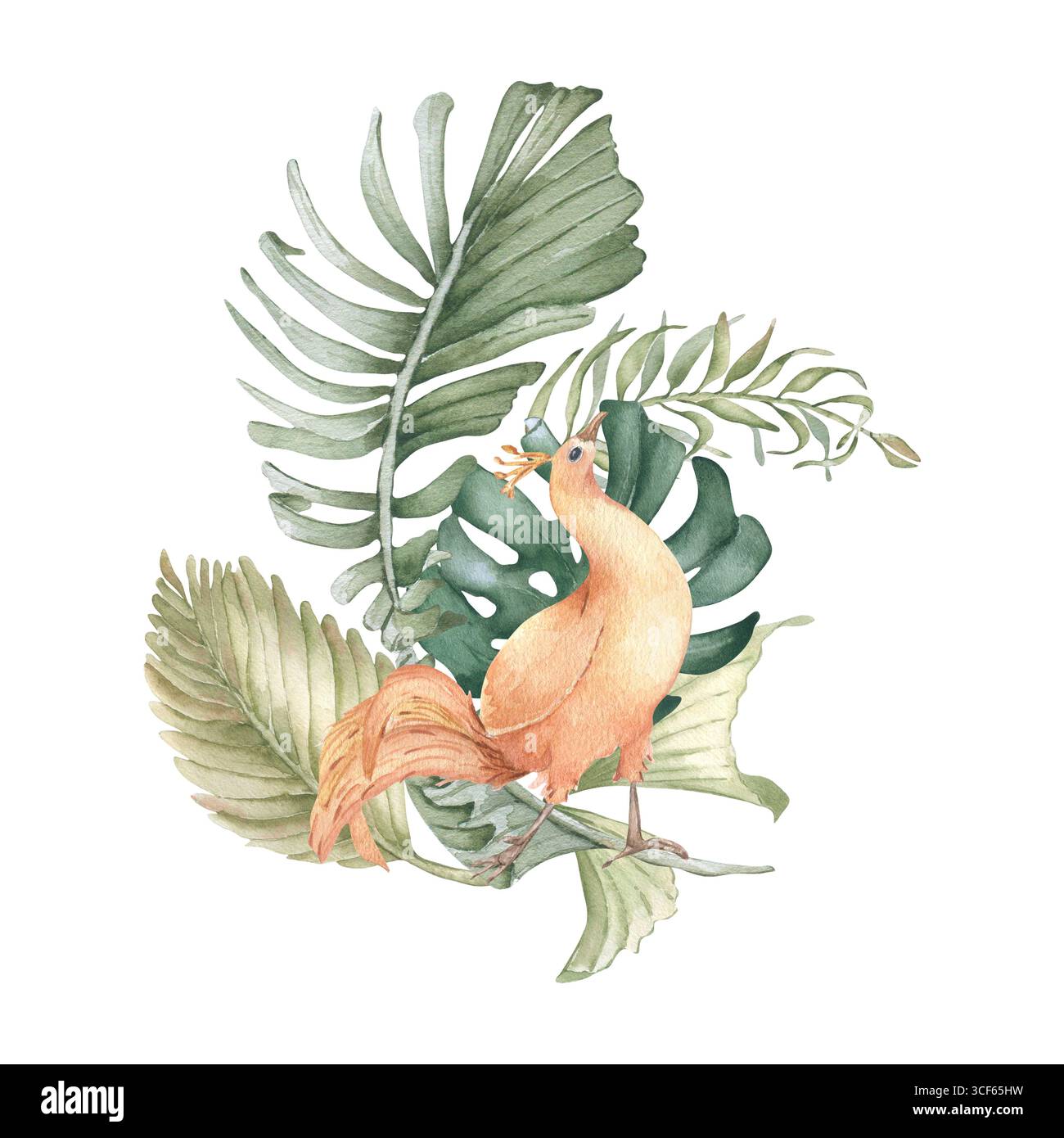 Oiseau tropical en frondes de palmier aquarelle dans les tons olive et orange isolé sur blanc. Faisan en feuillage de palmier illustration dessinée à la main. Monstera part Banque D'Images