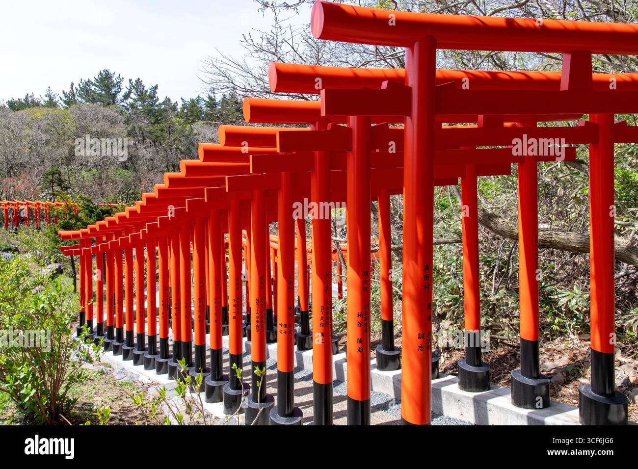 Tsugaru, Aomori, Japon - 1er mai 2025 ; portes torii rouges du sanctuaire Shinto Takayama Inari avec statues de renards et sentiers pédestres dédiés à Inari Okami Banque D'Images