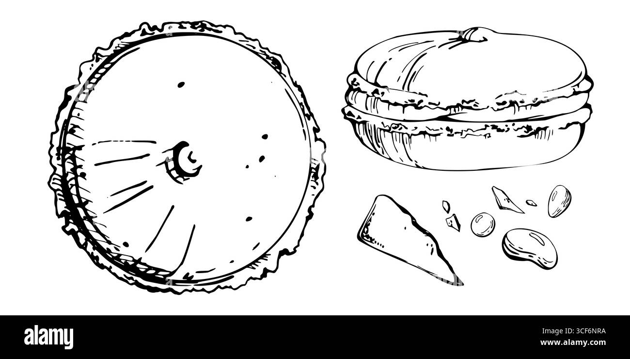 Tartes Whoopie, macarons français de dessus et de côté avec des morceaux de pépites de chocolat et dragées de bonbons au cacao. Illustration dessinée à la main isolée à l'encre vectorielle Illustration de Vecteur
