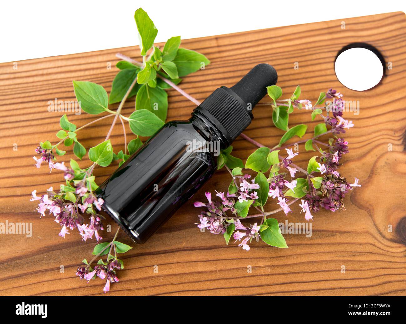 Vue plate de teinture médicinale à base de plantes maison faite d'origan, Origanum vulgare. Fleurs de plantes fraîches à côté de la bouteille en verre brun, planche de bois. Banque D'Images