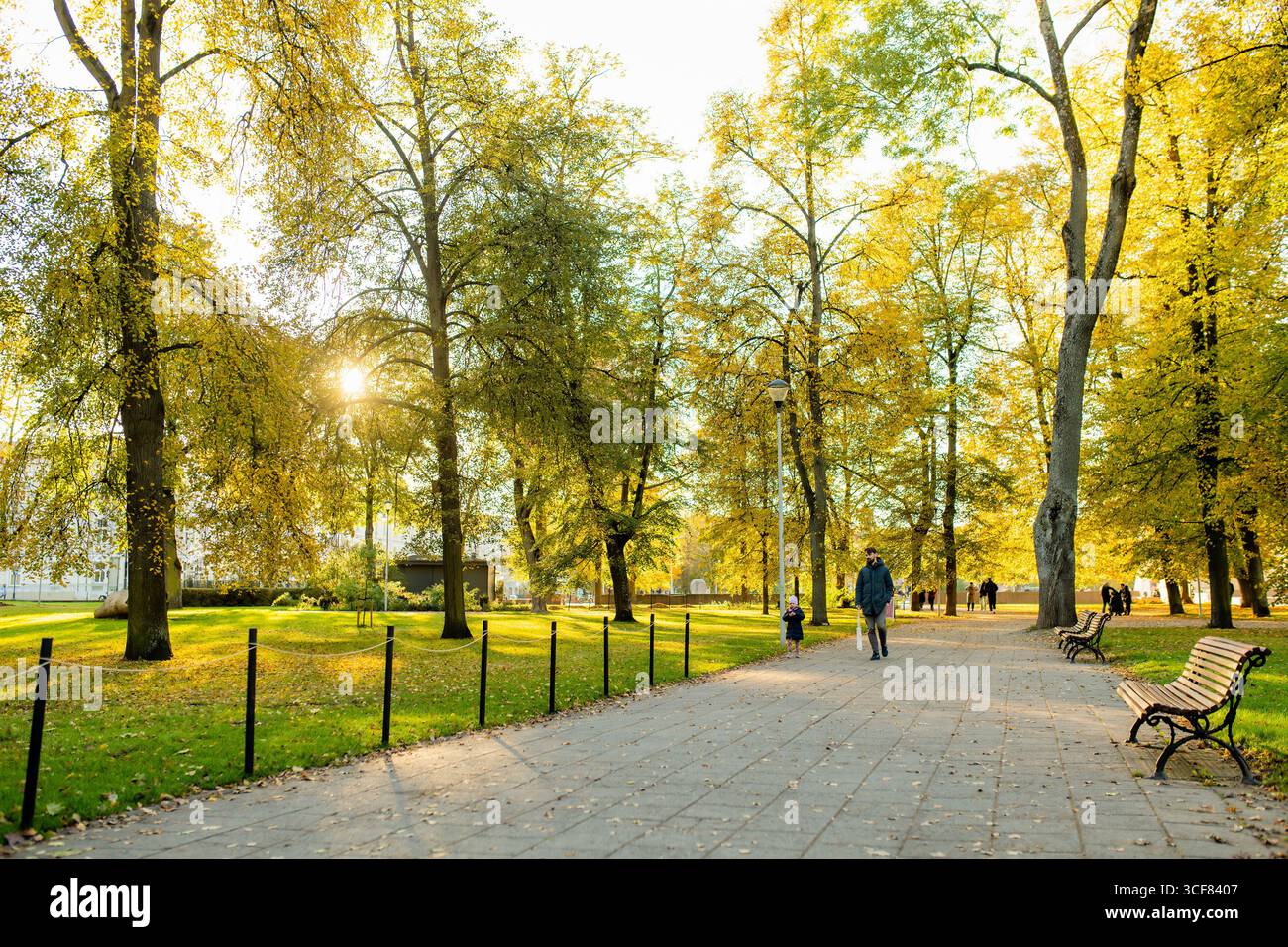 VILNIUS, LITUANIE - 3 OCTOBRE 2024 : journée d'automne ensoleillée dans un parc central de Vilnius avec feuillage jaune, sentiers pédestres, bancs et promenades Banque D'Images