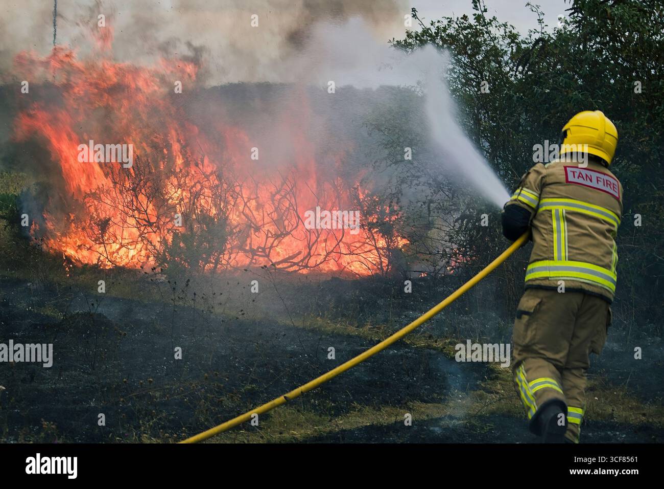 Pompiers face à un incendie gorse à Amlwch. Banque D'Images