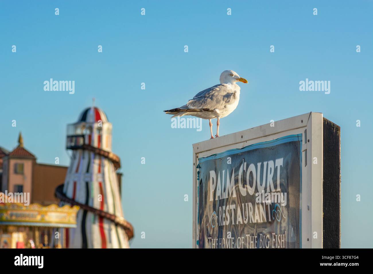Seagull et Brighton Palace Pier, Brighton, East Sussex, Angleterre, Royaume-Uni Banque D'Images