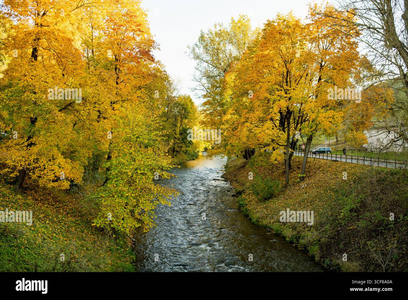Arbres d'automne le long de la rivière Vilnele dans le centre de Vilnius, avec feuillage doré et une route tranquille au bord de la rivière Banque D'Images