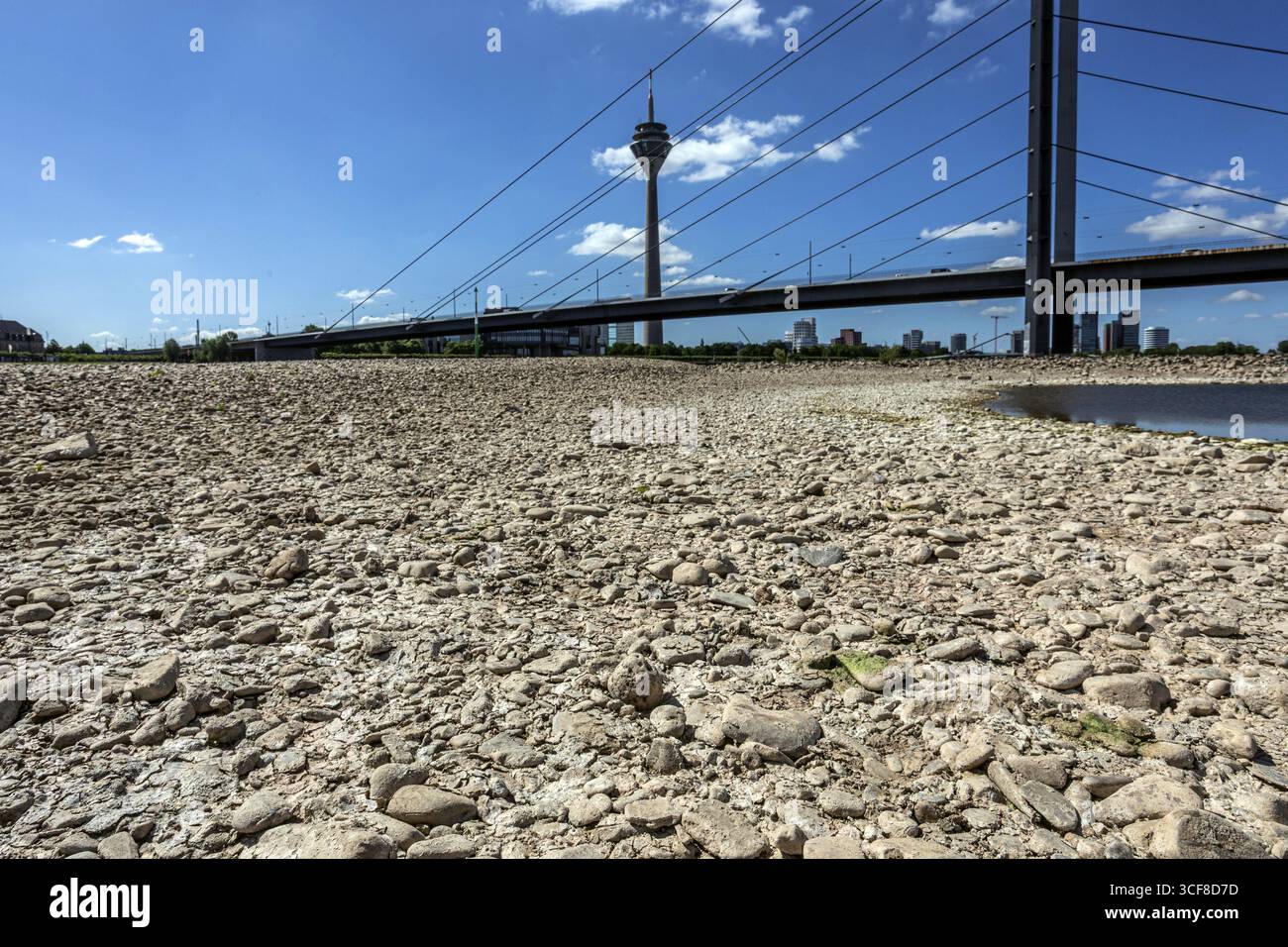 Rhin a de faibles eaux, de grandes zones de la rivière sont sèches, vue sur le pont Rheinknie et la Tour du Rhin - Duesseldorf, Rhénanie du Nord-Westphalie, Allemagne Banque D'Images