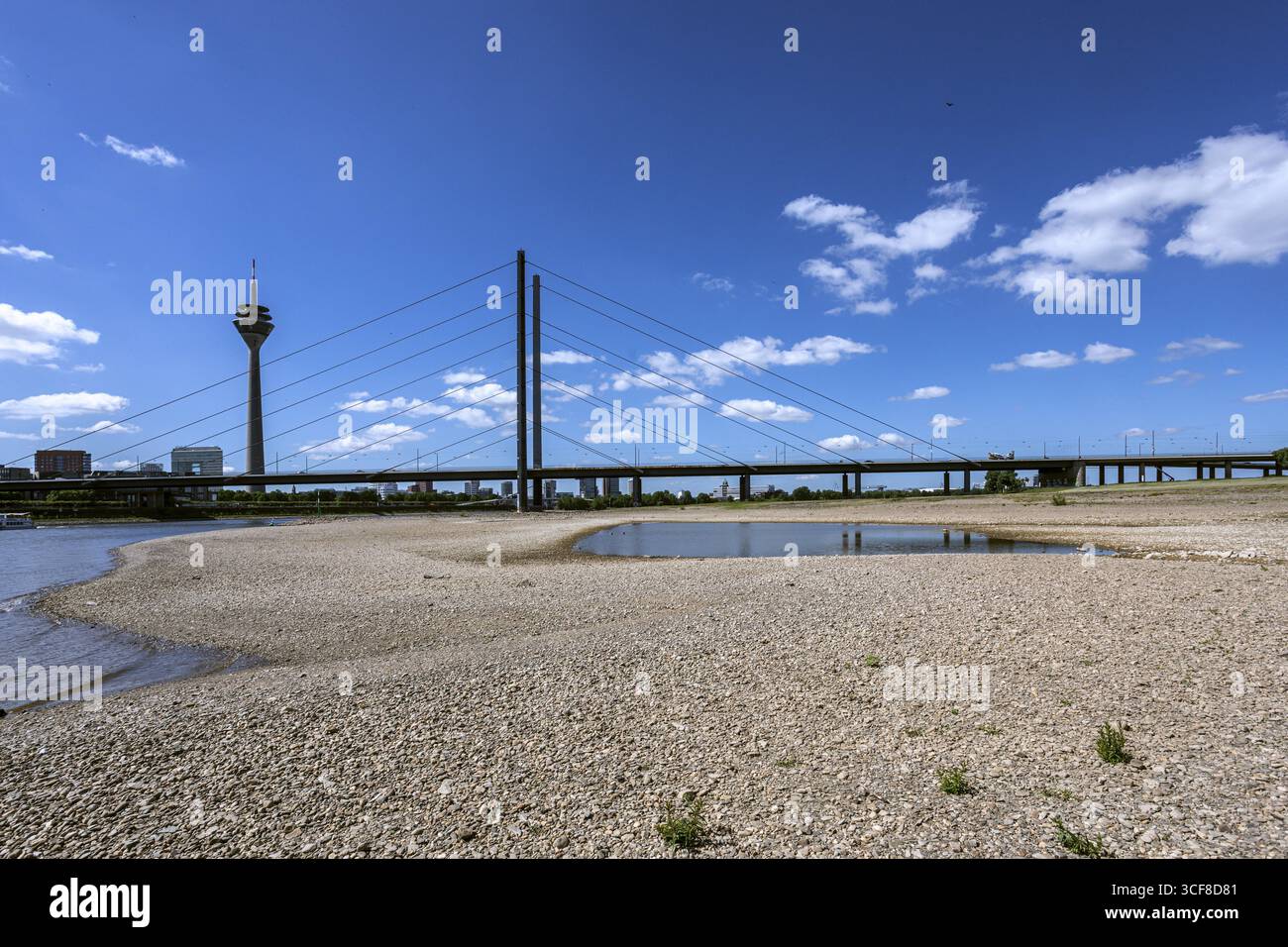 Rhin a de faibles eaux, de grandes zones de la rivière sont sèches, vue sur le pont Rheinknie et la Tour du Rhin - Duesseldorf, Rhénanie du Nord-Westphalie, Allemagne Banque D'Images