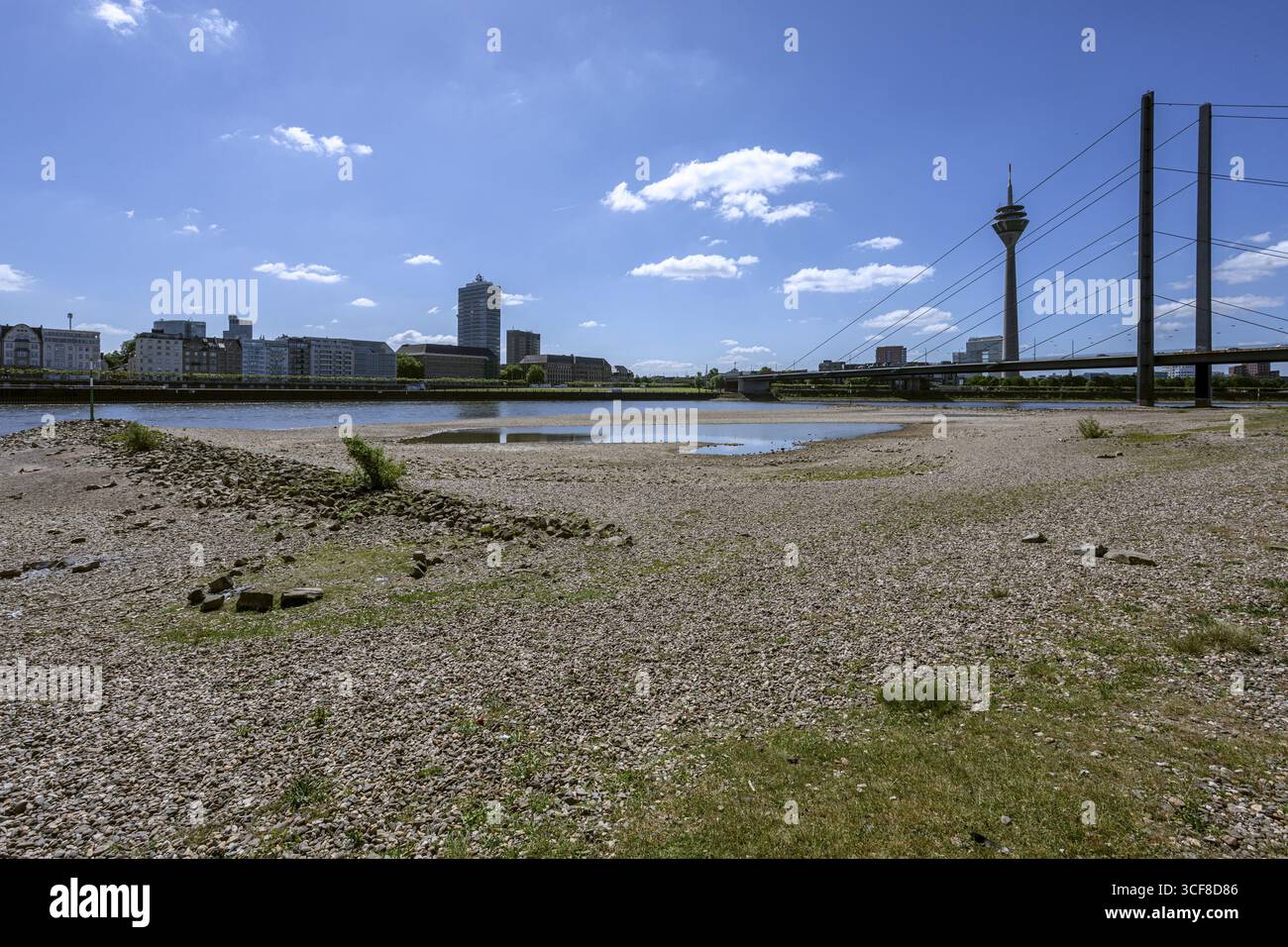 Rhin a de faibles eaux, de grandes zones de la rivière sont sèches, vue sur le pont Rheinknie et la Tour du Rhin - Duesseldorf, Rhénanie du Nord-Westphalie, Allemagne Banque D'Images