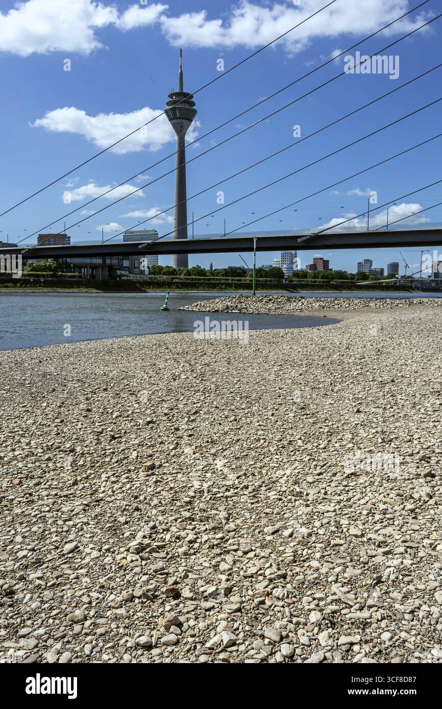 Rhin a de faibles eaux, de grandes zones de la rivière sont sèches, vue sur le pont Rheinknie et la Tour du Rhin - Duesseldorf, Rhénanie du Nord-Westphalie, Allemagne Banque D'Images