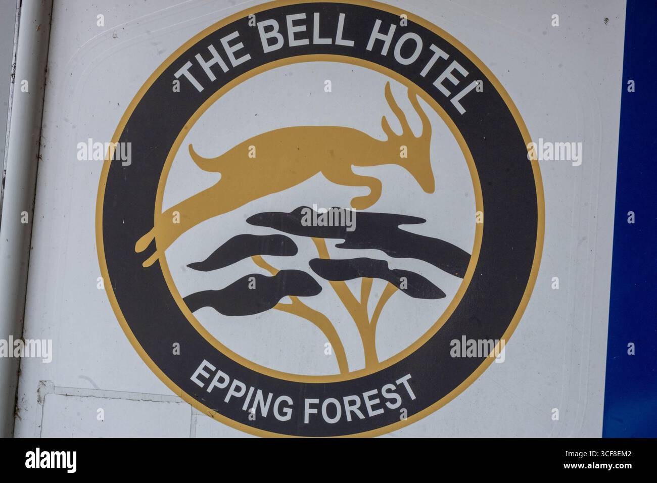 Epping Essex 21 août 2025 The Bell Hotel Epping, après une injuction temporaire de la haute Cour pour que les immigrés de l'hôtel soient enlevés. St George's amd Union drapeaux autour de l'hôtel et Epping. Crédit : Ian Davidson/Alamy Live News Banque D'Images