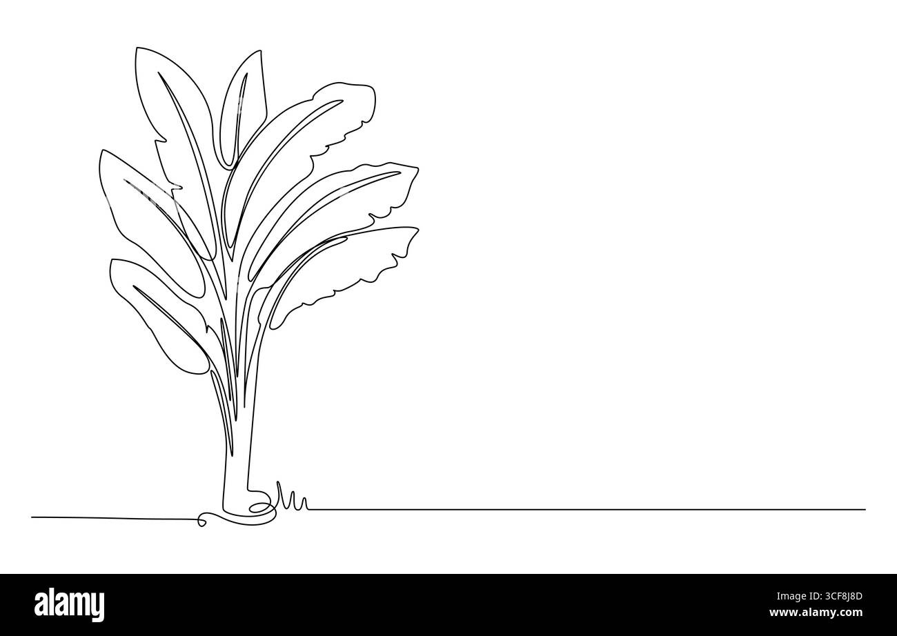 Illustration de bananier d'art au trait sur blanc, art botanique minimaliste, dessin au trait d'un bananier Illustration de Vecteur