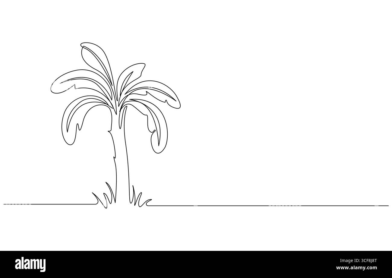 Illustration de bananier d'art au trait sur blanc, art botanique minimaliste, dessin au trait d'un bananier Illustration de Vecteur