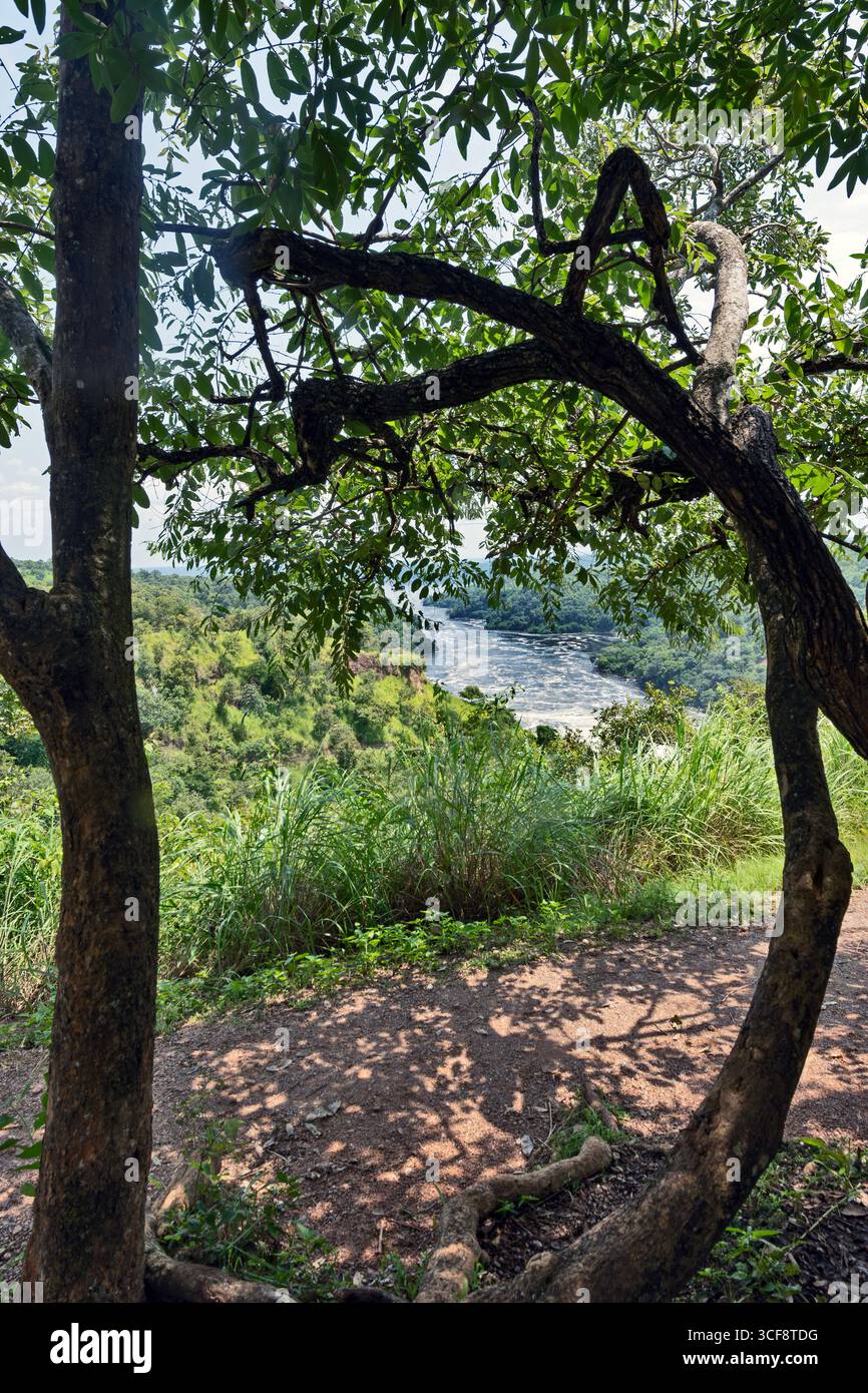 Murchison Falls NP. Le Nil Banque D'Images