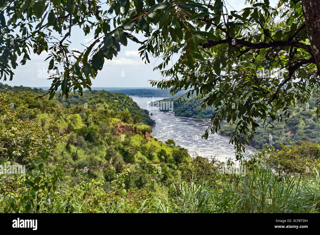 Murchison Falls NP. Le Nil Banque D'Images