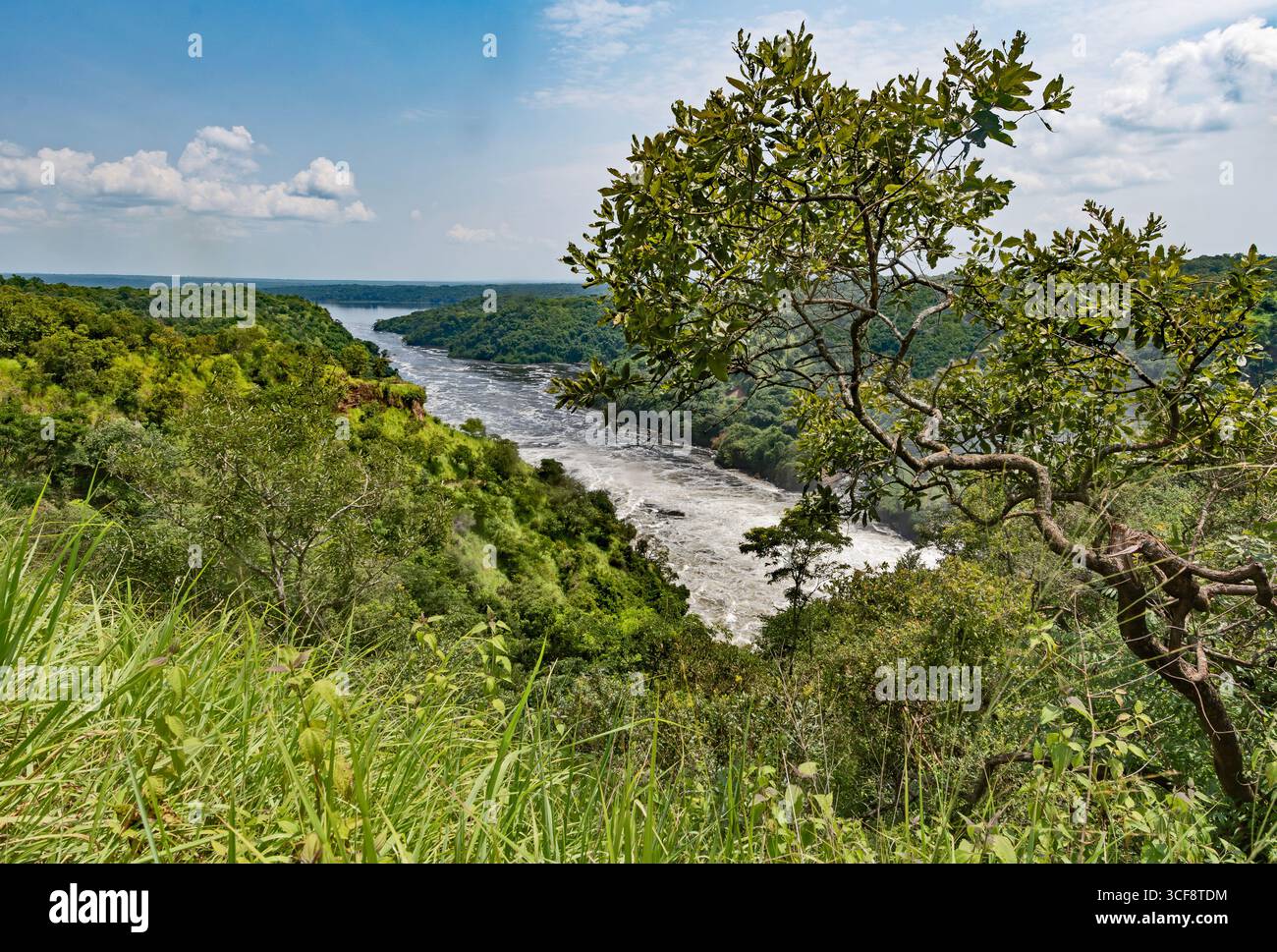 Murchison Falls NP. Le Nil Banque D'Images
