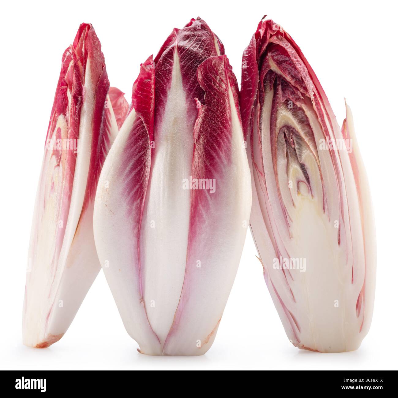 Endives rouges et coupe transversale d'endives sur fond blanc. Le fichier contient un chemin de détourage. Banque D'Images