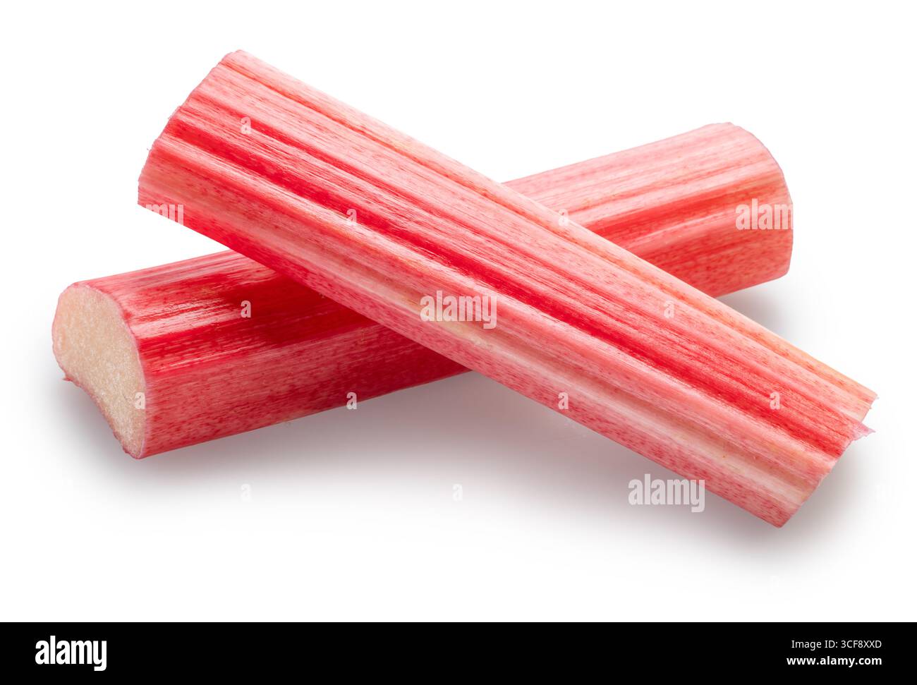 Coupes de tige de rhubarbe rouge sur fond blanc. Le fichier contient un chemin de détourage. Banque D'Images
