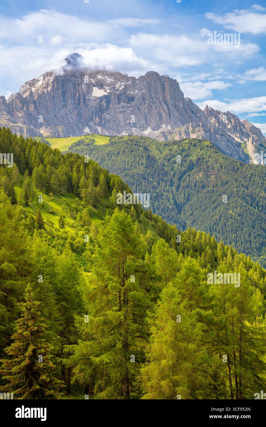 Forêt alpine verte avec des pics rocheux s'élevant au-dessus et de légers nuages dans le ciel Banque D'Images