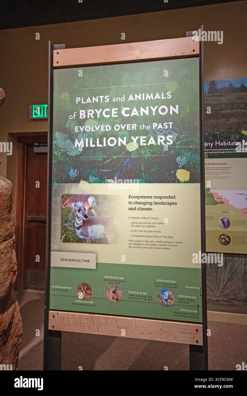 Musée dans le centre d'accueil du parc national de Bryce Canyon, Utah, États-Unis Banque D'Images