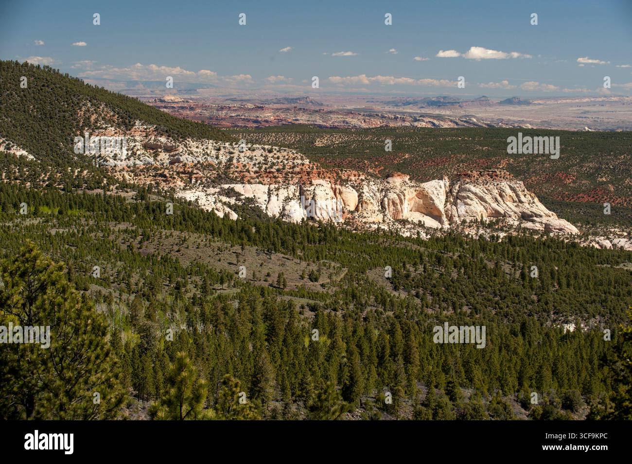 Un affleurement de grès Navajo sur Boulder Mountain près de Torrey, Utah Banque D'Images