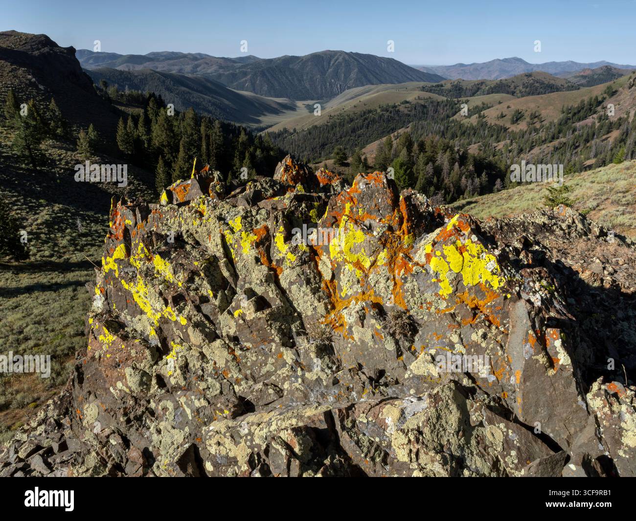 ID01179-00....IDAHO - roche couverte de lichen le long du sentier Johnstone Creek dans les Pioneer Mountains, forêt nationale de Sawtooth. Banque D'Images