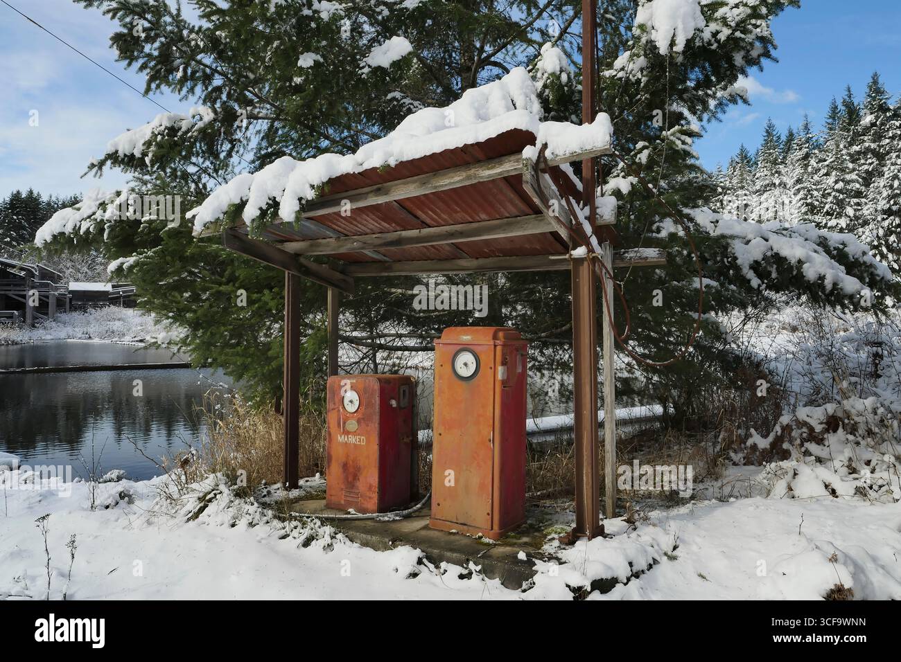 Pompes à essence à l'ancienne mode dans le paysage hivernal Banque D'Images Pompes à essence à l'ancienne mode dans le paysage hivernal Banque D'Images