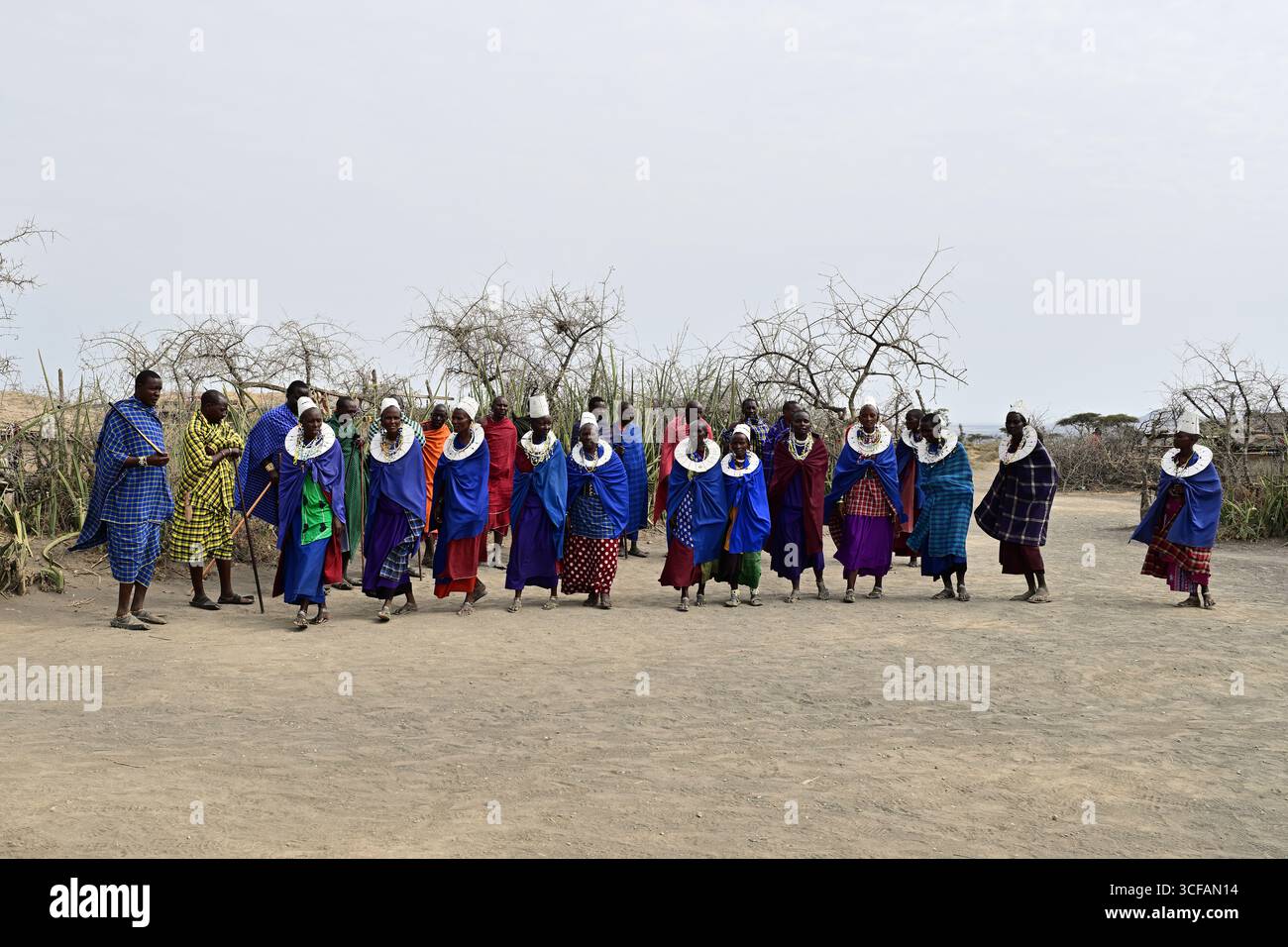 Les tribus Massaï et les tribus dansent en groupe Banque D'Images