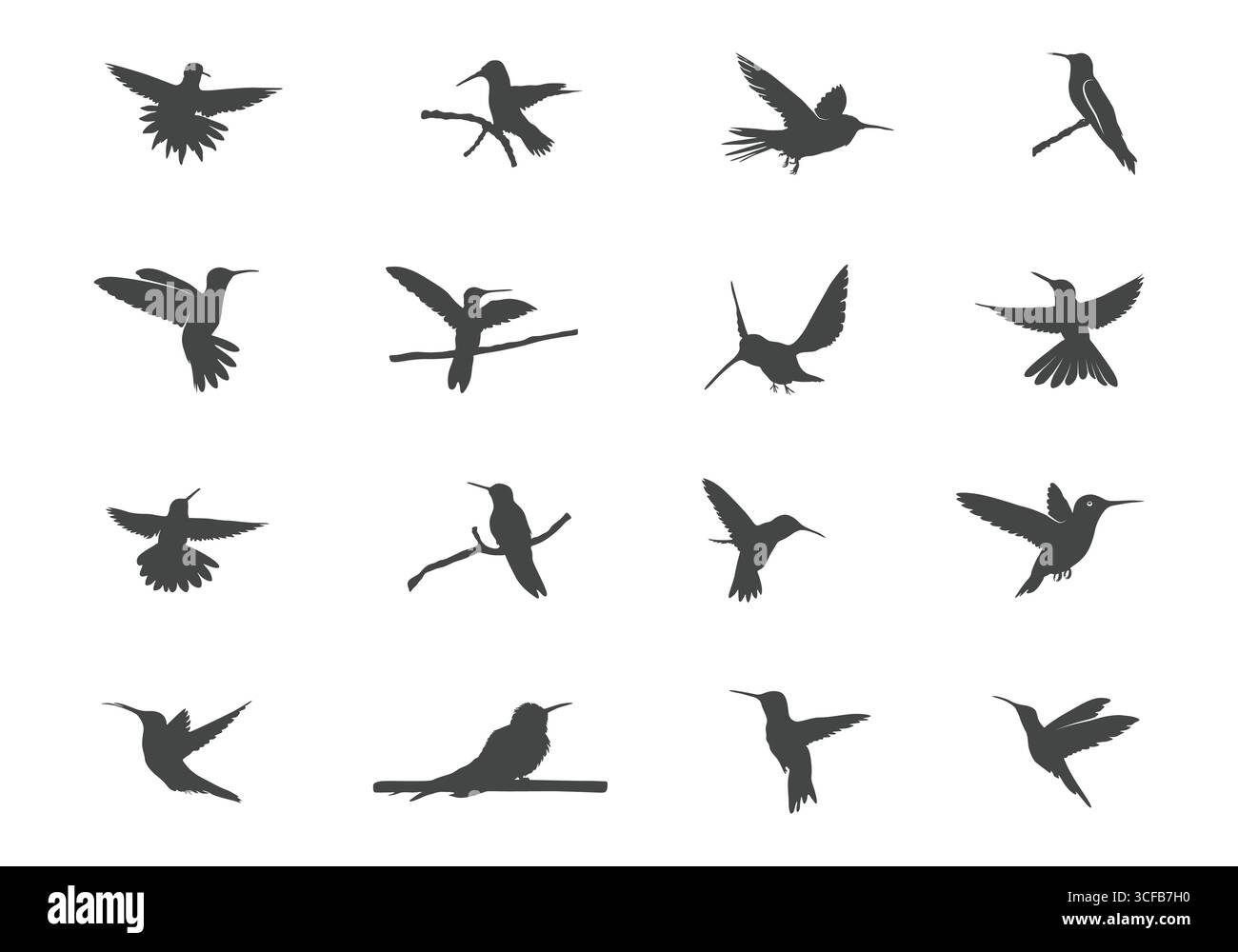 Silhouette de colibri, svg de colibri, vecteur d'oiseau colibri, clipart de colibri volant, svg de colibris volant. Illustration de Vecteur