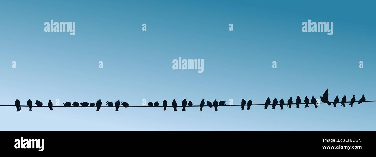 Silhouettes de pigeons sur un fil. Illustration de Vecteur