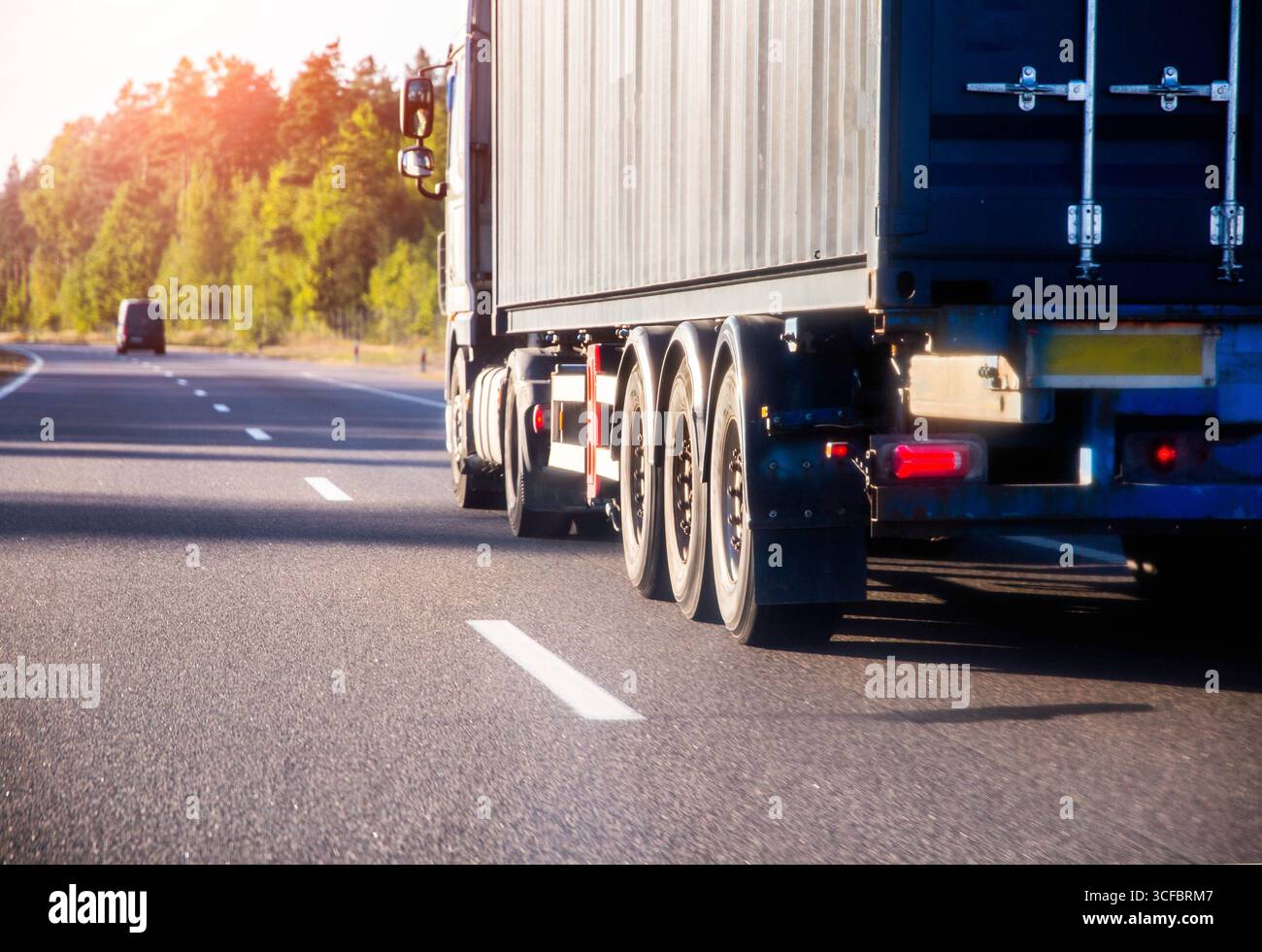Le tracteur de camion de conteneur transporte le conteneur maritime avec la cargaison sur la route asphaltée contre la forêt et le fond de la nature Banque D'Images