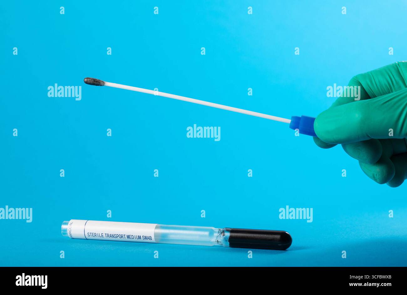 Le médecin tient une sonde stérile pour un frottis sur fond bleu, vers. Traitement des vers ronds et des vers à épines. Copier l'espace pour le texte Banque D'Images